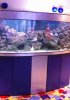 Как выбрать место для аквариума